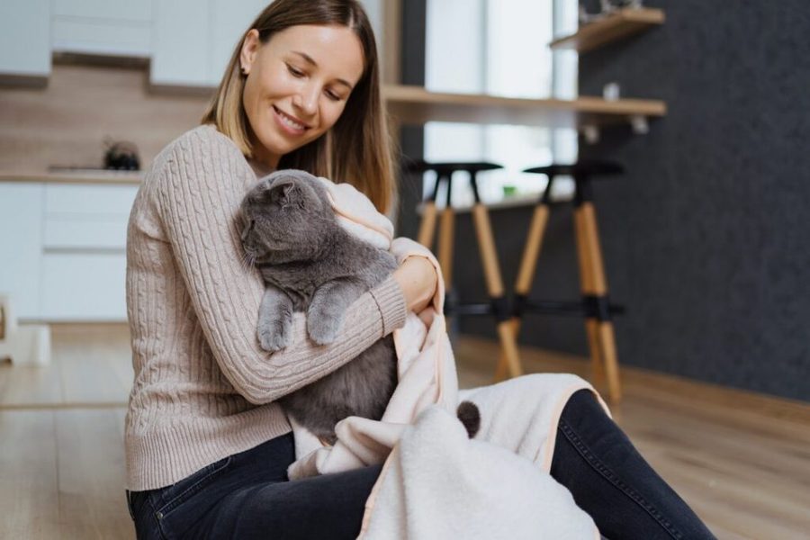 A person playing with and caring for a cat